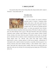 Arklių veislių įvairovė ir jų reikšmė gyvulininkystėje 4 puslapis