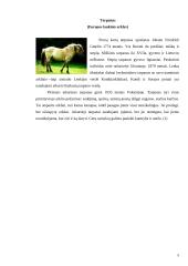 Arklių veislių įvairovė ir jų reikšmė gyvulininkystėje 5 puslapis
