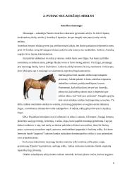 Arklių veislių įvairovė ir jų reikšmė gyvulininkystėje 6 puslapis