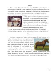 Arklių veislių įvairovė ir jų reikšmė gyvulininkystėje 10 puslapis