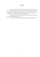 Asmens bylos sudarymas 2 puslapis