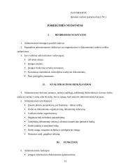 Asmens bylos sudarymas 11 puslapis