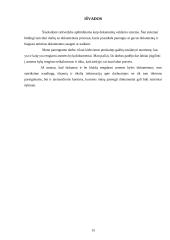 Asmens bylos sudarymas 14 puslapis