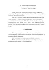 Asmens bylos sudarymas 6 puslapis