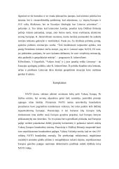 Atlantizmas ir europeizmas vieningos Europos politikoje 12 puslapis