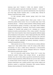 Atlantizmas ir europeizmas vieningos Europos politikoje 8 puslapis