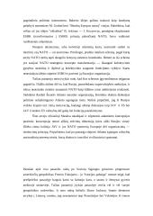 Atlantizmas ir europeizmas vieningos Europos politikoje 10 puslapis