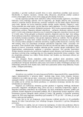 Atmosfera ir jos tarša 5 puslapis