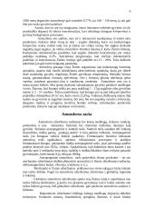 Žemės atmosfera ir jos tarša 6 puslapis