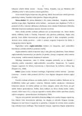 Atmosferos oro užterštumas, monitoringas bei užterštumo profilaktika 6 puslapis