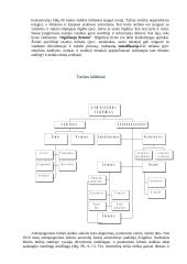Atmosferos tarša ir teršalai 3 puslapis