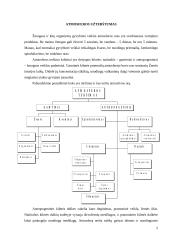 Atmosferos užterštumas. Oro užterštumas Vilniuje ir Kaune 3 puslapis