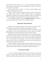 Atmosferos užterštumas. Oro užterštumas Vilniuje ir Kaune 4 puslapis