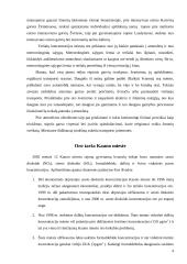 Atmosferos užterštumas. Oro užterštumas Vilniuje ir Kaune 5 puslapis