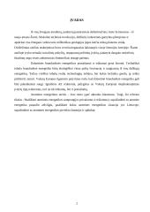 Energetikos samprata ir atominė energetika Lietuvoje 2 puslapis