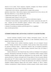 Energetikos samprata ir atominė energetika Lietuvoje 11 puslapis
