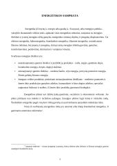 Energetikos samprata ir atominė energetika Lietuvoje 3 puslapis