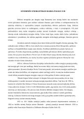 Energetikos samprata ir atominė energetika Lietuvoje 4 puslapis