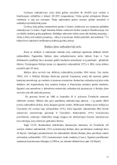 Atominis ginklas ir atominė energetika - aplinkos teršimo šaltinis 11 puslapis