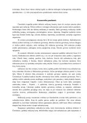 Atominis ginklas ir atominė energetika - aplinkos teršimo šaltinis 7 puslapis