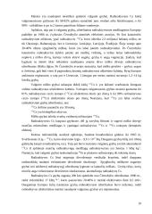 Atominis ginklas ir atominė energetika - aplinkos teršimo šaltinis 10 puslapis