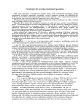 Atominių objektų radiacinės avarijos ir jų padariniai 3 puslapis