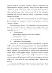 Atsinaujinantys energijos ištekliai 17 puslapis