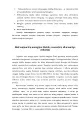 Atsinaujinantys energijos ištekliai 19 puslapis