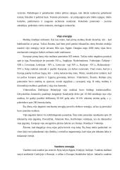 Atsinaujinantys energijos ištekliai 9 puslapis