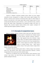 Atsinaujinantys energijos ištekliai, jų teikiama nauda, panaudojimo galimybės bei ateities perspektyvos 5 puslapis