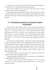 Atsinaujinantys energijos ištekliai, jų teikiama nauda, panaudojimo galimybės bei ateities perspektyvos 6 puslapis