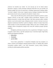 Atsinaujinantys energijos šaltiniai ir jų tipai 14 puslapis