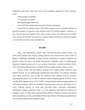 Atsinaujinantys energijos šaltiniai ir jų tipai 20 puslapis