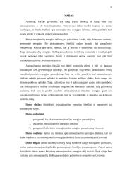 Atsinaujinančius energijos išteklius skatinančios jėgos ir panaudojimas 2 puslapis