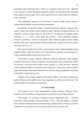 Atsinaujinančius energijos išteklius skatinančios jėgos ir panaudojimas 11 puslapis
