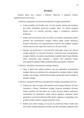 Atsinaujinančius energijos išteklius skatinančios jėgos ir panaudojimas 19 puslapis