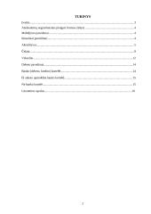 Atsiskaitymų negrynais pinigais formų privalumai ir trūkumai 2 puslapis