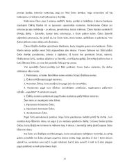 Atsiskaitymų negrynais pinigais formų privalumai ir trūkumai 11 puslapis