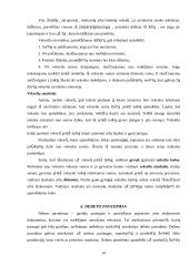 Atsiskaitymų negrynais pinigais formų privalumai ir trūkumai 14 puslapis