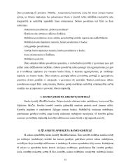 Atsiskaitymų negrynais pinigais formų privalumai ir trūkumai 15 puslapis