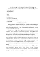 Atsiskaitymų negrynais pinigais formų privalumai ir trūkumai 4 puslapis