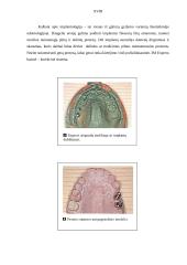 Atspaudinės medžiagos. Ortopedinė odontologija 18 puslapis