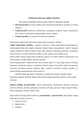 Atstumo matavimų artimoje zonoje jutikliai