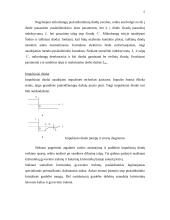 Atvirkštiniai diodai 6 puslapis