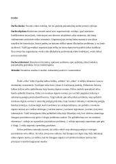 Audito įmonės verslo etika 2 puslapis