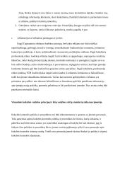 Audito įmonės verslo etika 14 puslapis