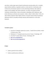 Audito įmonės verslo etika 16 puslapis