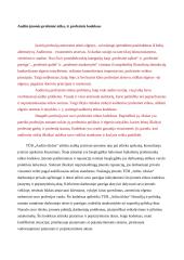 Audito įmonės verslo etika 3 puslapis