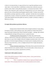 Audito įmonės verslo etika 6 puslapis