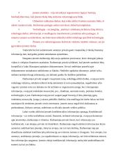 Audito įmonės verslo etika 7 puslapis